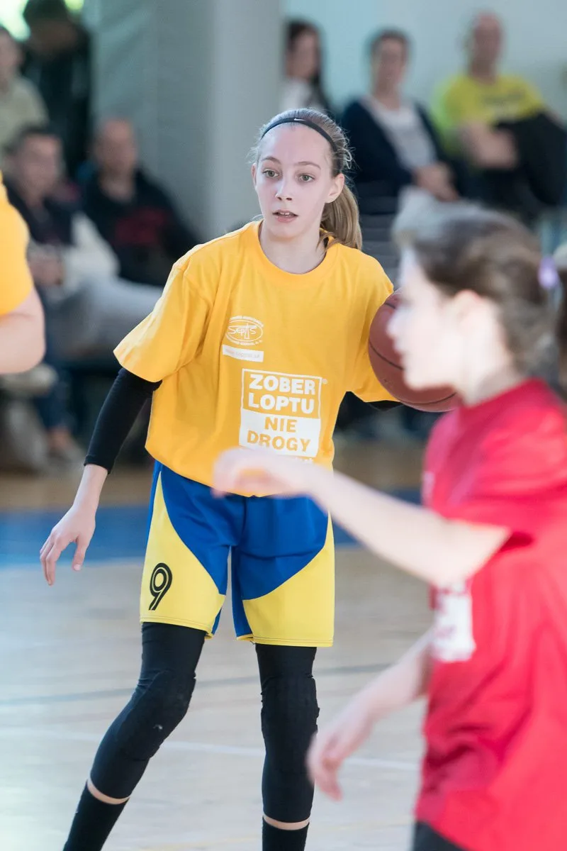 Finálový deň PBL 2016-17 – foto 6