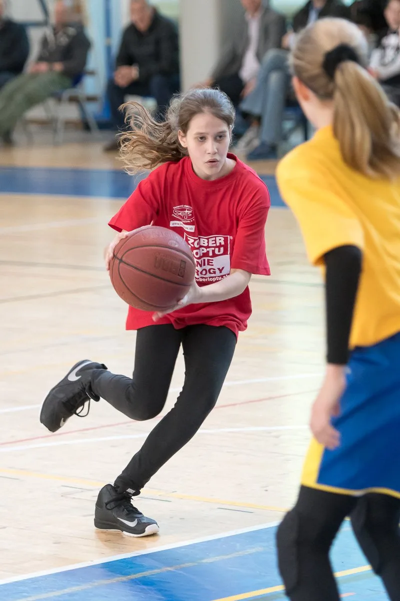 Finálový deň PBL 2016-17 – foto 14
