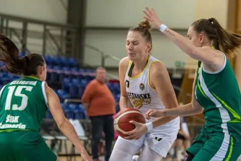 Piešťanské Čajky vs. ŠBK Šamorín