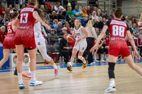 Piešťanské Čajky vs. Slávia Banská Bystrica