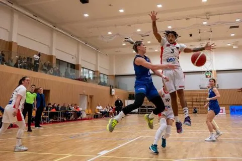 Piešťanské Čajky vs. DSK Brandýs nad Labem (CZE), CEWL