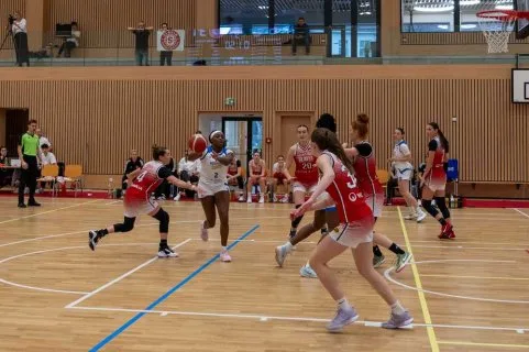 Piešťanské Čajky vs. Slávia ŠKP Banská Bystrica, CEWL