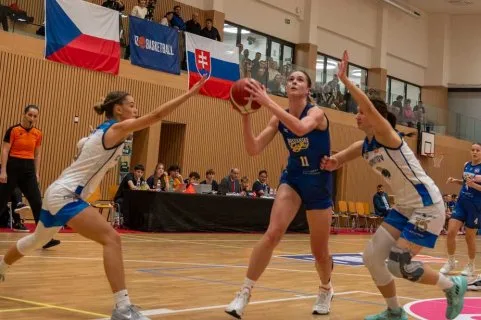 Levhartice Chomutov (CZE) vs. Piešťanské Čajky, Česko-Slovenský pohár