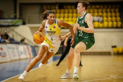 Piešťanské Čajky vs. UNI Györ (HUN), príprava