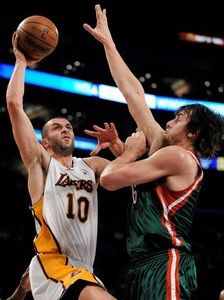 Bobcats vymenili Morrisona za Radmanoviča z Lakers