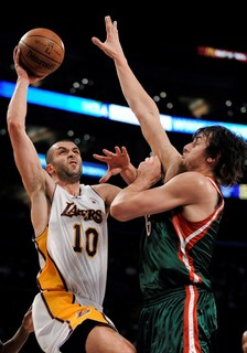 Bobcats vymenili Morrisona za Radmanoviča z Lakers