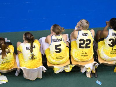 Piešťanské Čajky prehrali finále s KP Brno