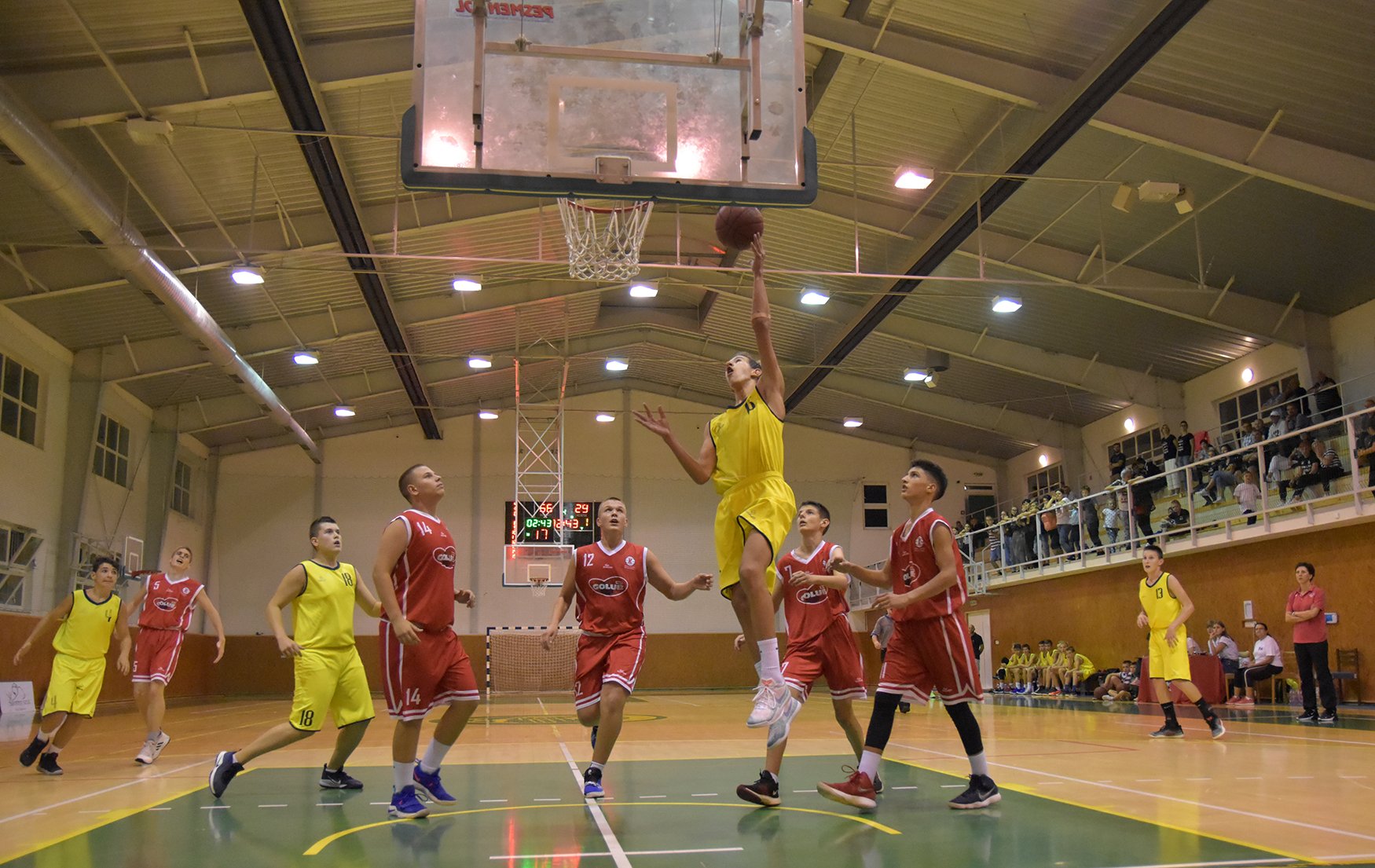Striedačka Petra Tordu: Covid možno u nás spravil z basketbalu len krúžkový šport pre odložené deti