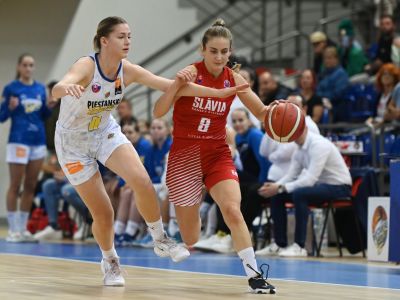 Majstrovské Čajky idú do Eurocupu s cieľom postupu, banskobystrické Pumy  si nechcú spraviť hanbu