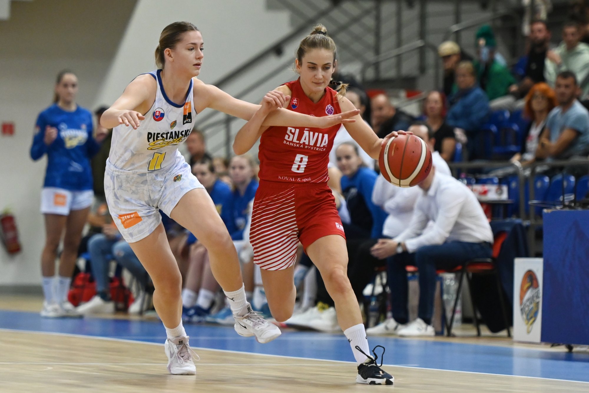 Majstrovské Čajky idú do Eurocupu s cieľom postupu, banskobystrické Pumy  si nechcú spraviť hanbu